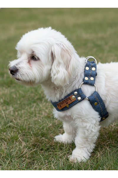 balkonda طوق للكلاب من نوع دينم قابل للتعديل للسلالات الصغيرة والصغيرة جداً ب...