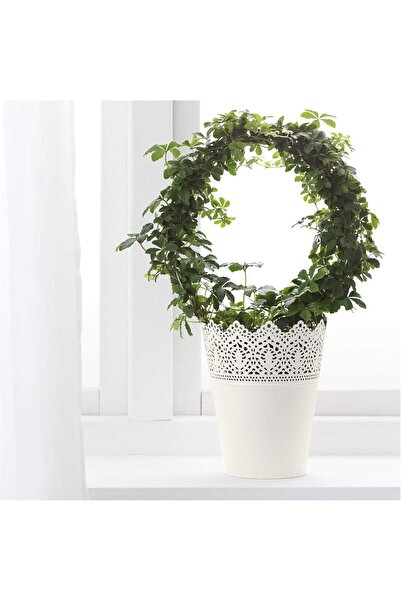 DRAMA HOME أصيص للنباتات يستخدم للأماكن الداخلية والخارجية بلون أوف وايت أبيض