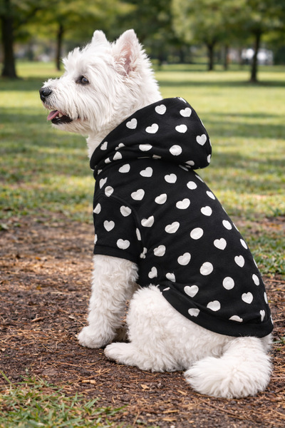 petite pati Siyah Kalpli Sweatshirt | Kapşonlu, Kışlık Köpek Kıyafeti