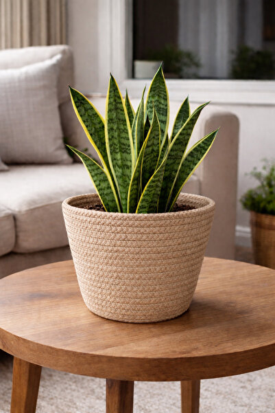 ÖRGÜM Sepet Dekoratif Saksı Kılıfı 15x15 cm BITKI DAHİL DEĞİLDİR