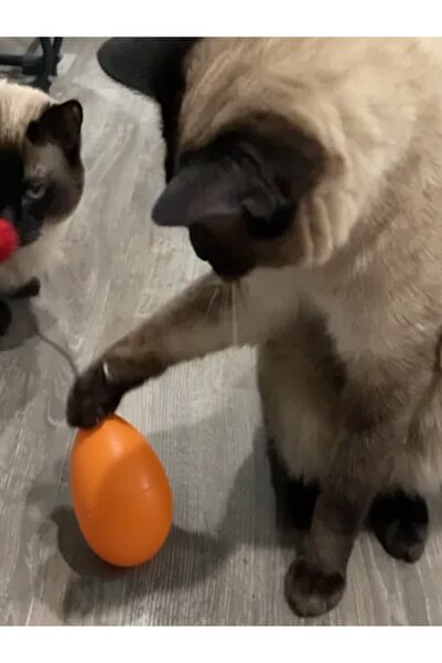 Generica بساط طعام القطط التفاعلي - بساط طباعة ثلاثي الأبعاد برتقالي اللون من...