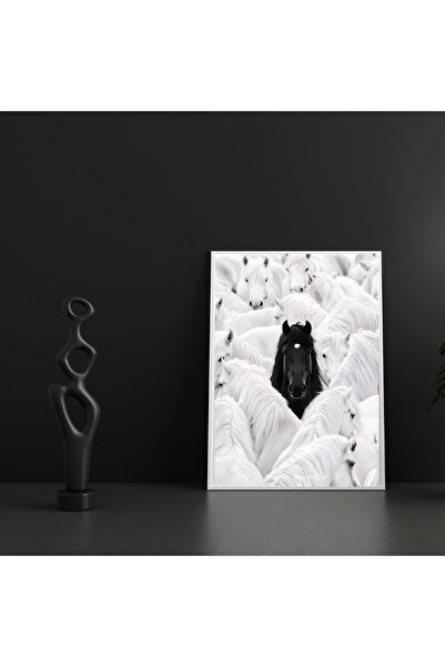 AYHİS DESIGN Can Dostlar Beyaz Atlar İçinde Siyah At Temalı Tablo, Mat Camlı ...