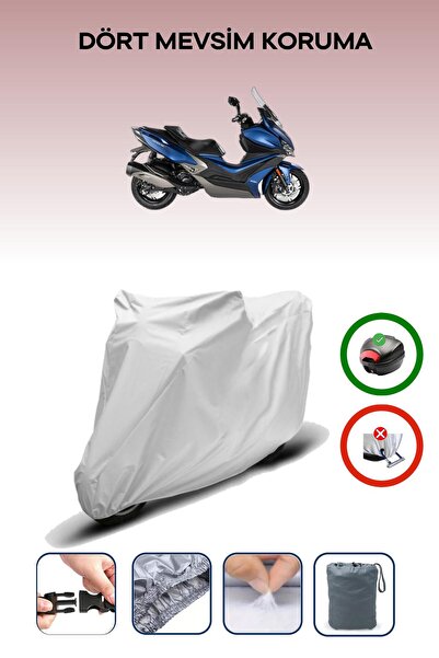 Breen Gray Rear Bag Compatible with Kymco Xciting S 400 Compatible Motorcycle...