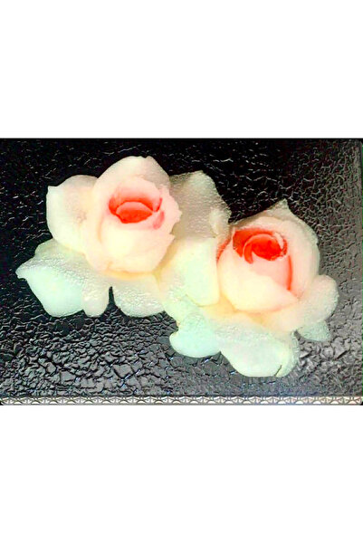 El Yapımı Cam Üzeri Figüratif Sanat