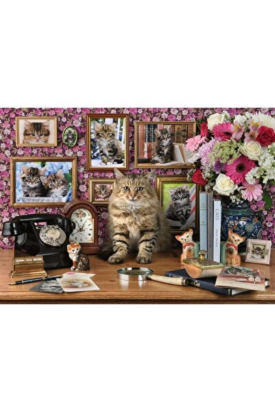 RAVENSBURGER 1000 Parça Cute Kitty Puzzle