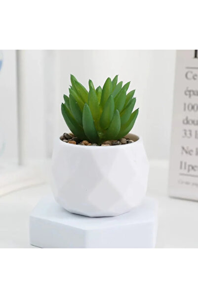 Choice مجموعة بونساي اصطناعية صديقة للبيئة من نباتات الصبار الصغيرة الواقعية ...