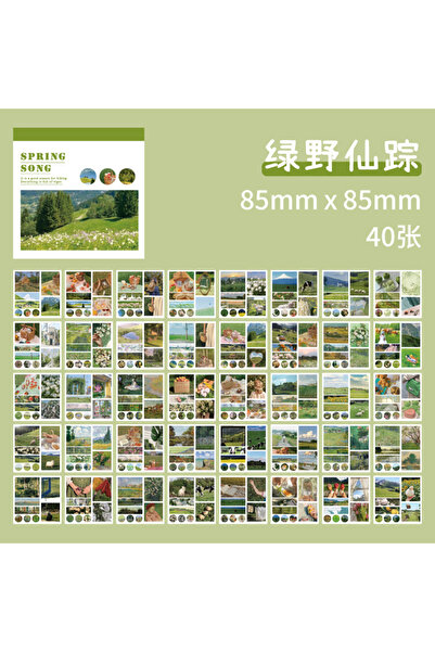 Choice5 A 40pcs Art Decoration Sticker Planner Handbook Scrapbook DIY Decorat...