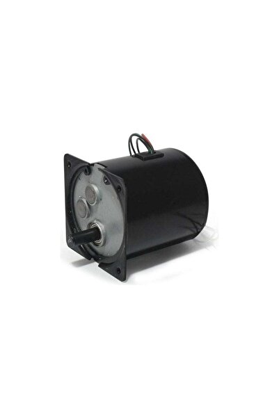 İKON TEKNİK AC SENKRON MOTOR 80 KTYZ 60 Watt 60 RPM 220 Volt