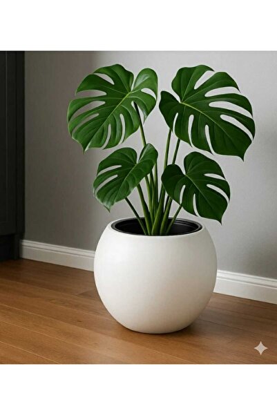POLİVAHOME Küre Saksı Yuvarlak Saksı Modern Dekoratif Iç Hazneli Plastik 27 L...
