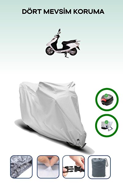 Breen حقيبة خلفية رمادية اللون ومتوافقة مع قماش المحرك المتوافق مع Falcon Dolphin 125 EFI