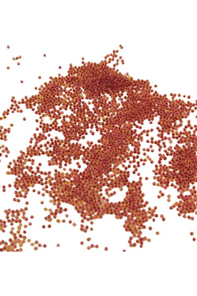 Serhat Aksesuar ve El İşçilik حبيبات رملية مطلية من الداخل باللون الأحمر (11/...