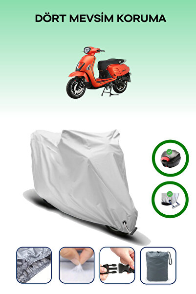Breen Gray Rear Bag and Lock Compatible Apachi True 50 Compatible Motorcycle ...
