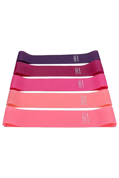 OEM Set 5 benzi elastice fitness pentru antrenament,roz gradient, 5 niveluri rezistenta, 2.2kg - 18kg