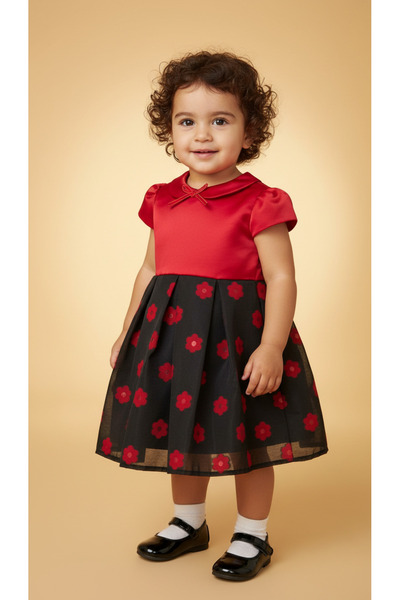 Jolanda Red Floral Baby Special Occasion Dress