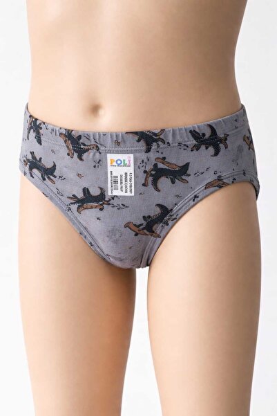 Poli Kids ERKEK ÇOCUK KİLOT 6' Lı