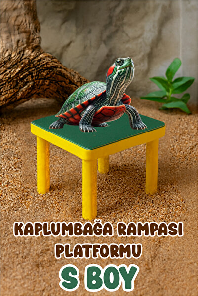 MD×JOA Kaplumbağa Rampası / Platformu ( S BOY ) Karma Renkler