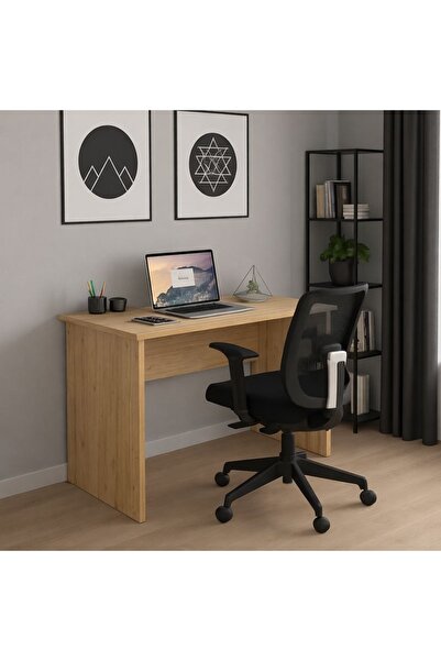 258 MoLife Çalışma Masası & Bilgisayar Masası ÇAM