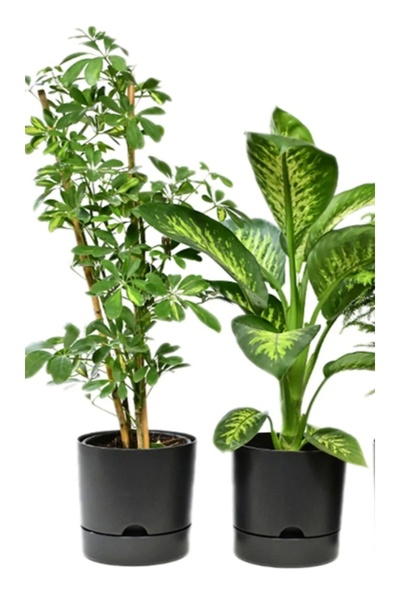 Poliwork 2 ADET 9 LT SİYAH RENK BEGONYA SAKSI TABAKLI DEKORATİF MAT PLASTİK SAKSI 24.5CM X 23CM