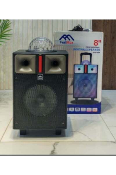 FEELMaX Speaker and Amplifier