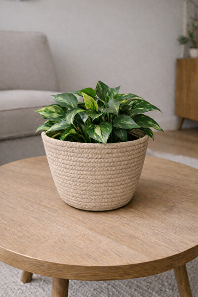 ÖRGÜM Sepet Dekoratif Saksı Kılıfı 15x15 cm BİTKİ DAHİL DEĞİLDİR