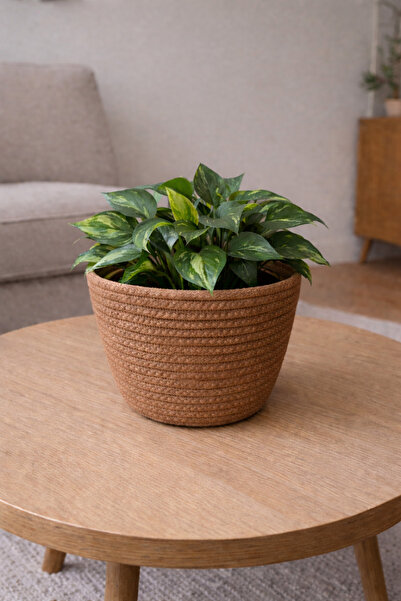 ÖRGÜM Sepet Dekoratif Saksı Kılıfı 15x15 cm BİTKİ DAHİL DEĞİLDİR