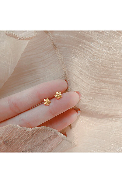 Choice قطعتان من الأقراط الصغيرة الجميلة على شكل قلب مجنح، لون ذهبي، فضة عيار...