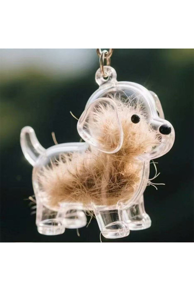 Choice كبسولة تذكارية على شكل شعر جرو شفاف لطيف، يمكنك صنعها بنفسك، لحفظ شعر كلبك أو حيوانك الأليف.