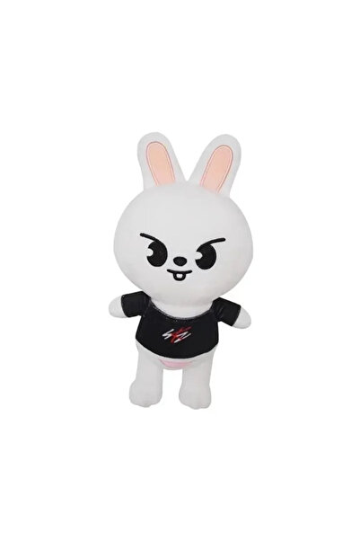 Miniso دمية قطيفة من Skzoo، دمية كرتونية محشوة لطيفة على شكل حيوان ستراي كيدز...