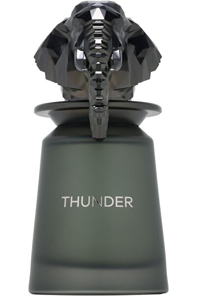 Ard Al Zaffran عطر ثاندر أو دو بارفان للرجال من فرينش أفينيو، 100 مل