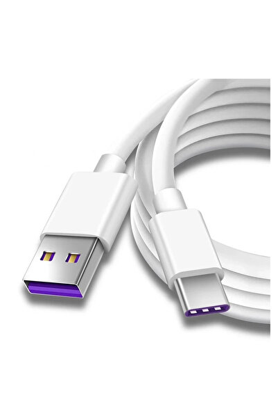 PRESTIGE CHARGE Cablu USB la USB-C pentru Date și Încărcare Rapidă 5A, SuperC...