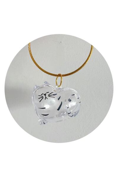 Choice6 1 pc Cat3 Transparent Dog Hair Storage Container Adorable Pet Keepsak...