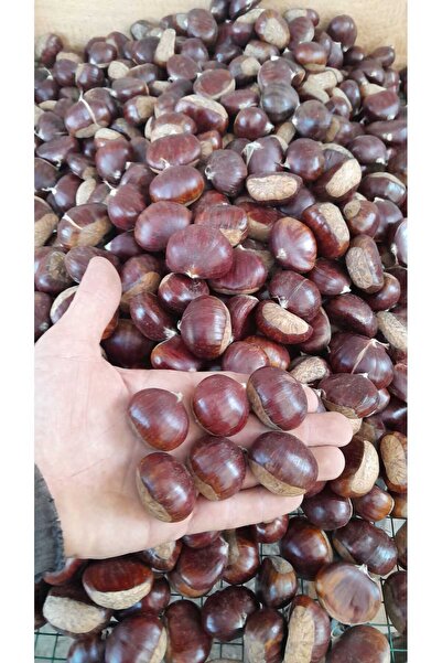 Genel Markalar Kebaplık Şekerci Aydın Kestane Duble Boy 1 Kg