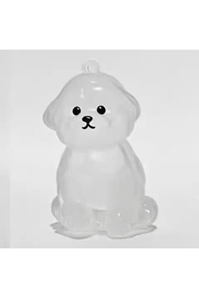 Choice8 علبة تخزين شعر الكلاب الشفافة من Dog6، قطعة واحدة، قلادة تذكارية رائع...