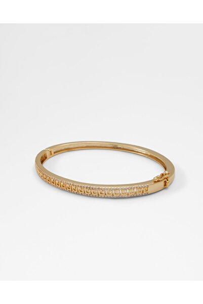 Aldo أديغوسي / إكسسوارات