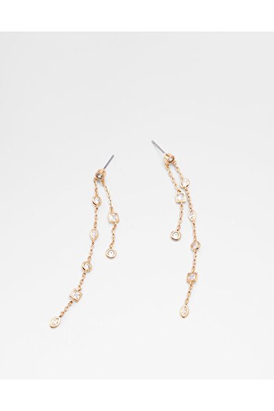 Aldo Haiegan / Accessories