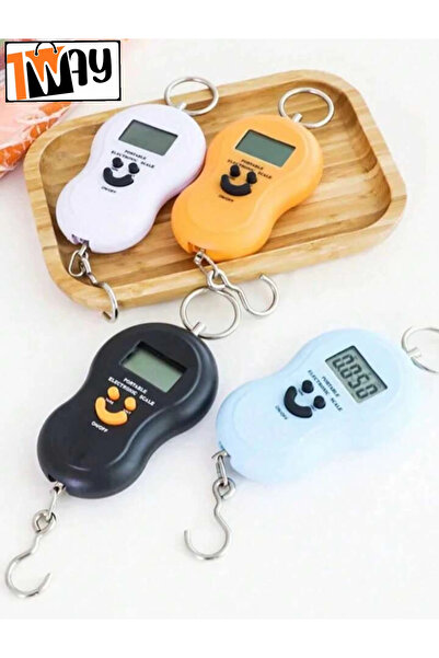 1way versatile electronic scale