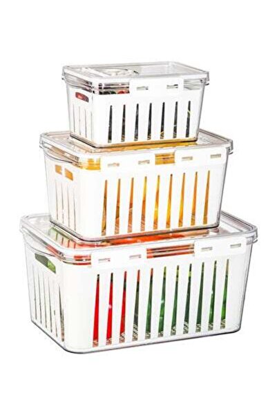 Arabest Refrigerator Saver Containers with Time Setting, 3 Pcs Fruit Vegetable Storage Containers