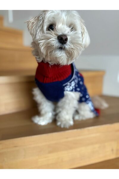 Marvel Lisanslı Captain America Desenli Köpek Triko Kazak