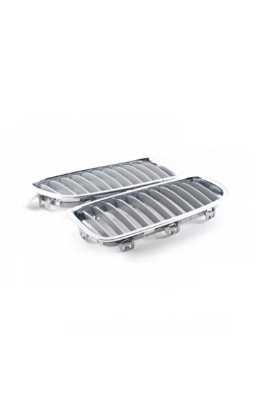 shop BMW F30 krom böbrek