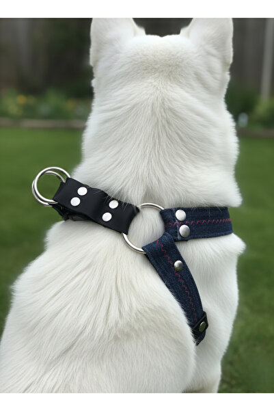 balkonda Dog Collar Small, Medium and Large Breeds Adjustable Denim & Leather...