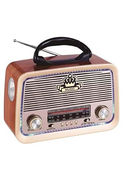 Micro Speed Hi-Fi Radio, FM/AM 3 Band, USB/TF/BT Player, Rechargeable Battery Hi-Fi Speaker (Light B