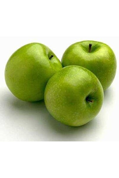 TABER 3 Yaş Aşılı Yarıbodur Granny Smith Elma Fidanı, Torbada
