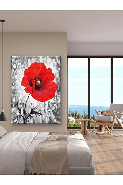 ESLEM Zamansız Zarafet Kırmızı Gelincik Siyah Beyaz Premium Kanvas Tablo