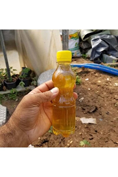 TABER Kaktüs ve Sukulentler İçin Özel Gübre