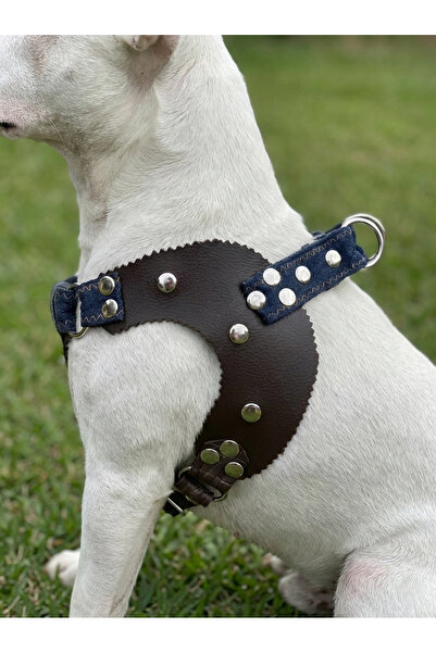 balkonda Dog Collar Medium and Large Breed Adjustable Denim & Head Leather Da...