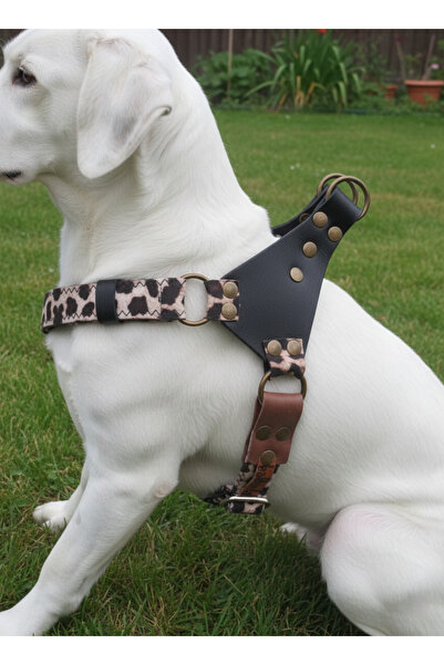 balkonda Dog Harness Medium and Large Breed Adjustable Collar & Head Leather ...