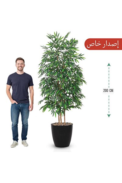 MARINO Three-branch bamboo tree 200cm (special edition)