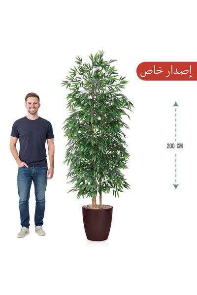 MARINO Three-branch bamboo tree 200cm (special edition)