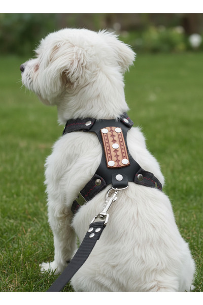balkonda Dog Harness Pull-Through Back Adjustable Genuine Leather & Denim Bla...