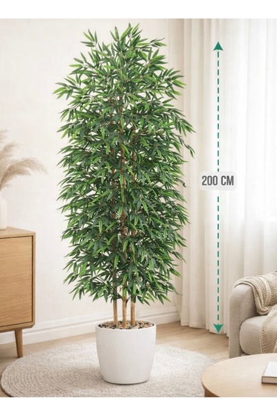 MARINO Three-branch bamboo tree 200cm (special edition)